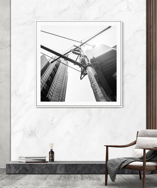 CROSSING Y "LIMITED"