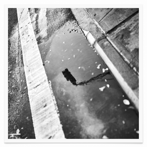 Rough St. 9